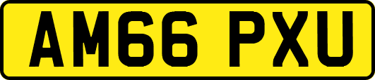 AM66PXU