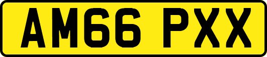 AM66PXX