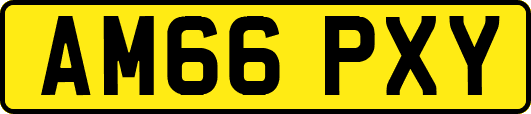 AM66PXY