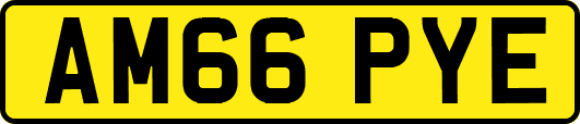 AM66PYE
