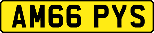 AM66PYS