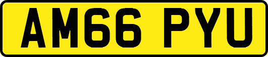 AM66PYU