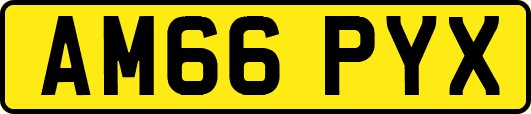 AM66PYX