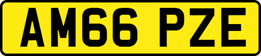 AM66PZE
