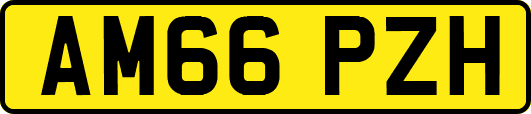 AM66PZH