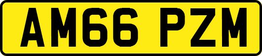 AM66PZM