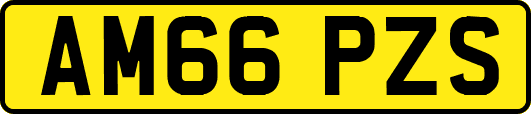 AM66PZS