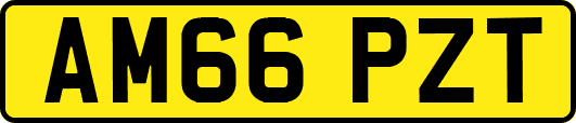 AM66PZT