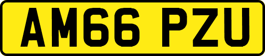 AM66PZU