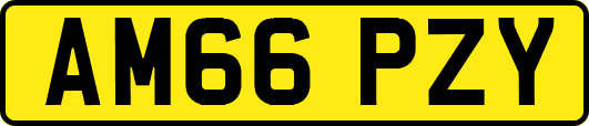 AM66PZY