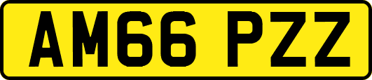 AM66PZZ