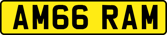 AM66RAM