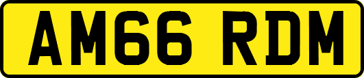AM66RDM