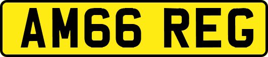 AM66REG