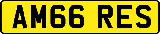 AM66RES