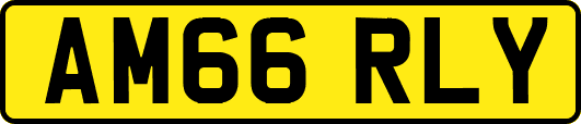 AM66RLY