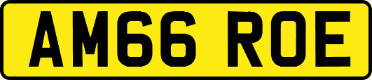 AM66ROE