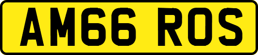 AM66ROS