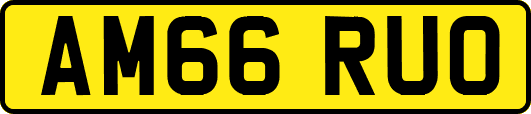 AM66RUO