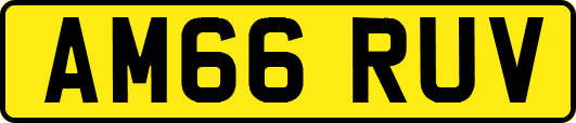 AM66RUV