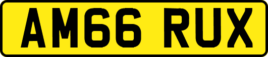 AM66RUX