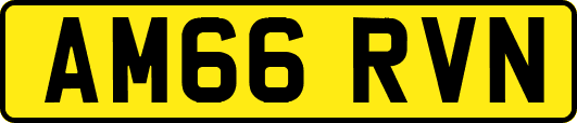 AM66RVN