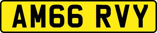 AM66RVY