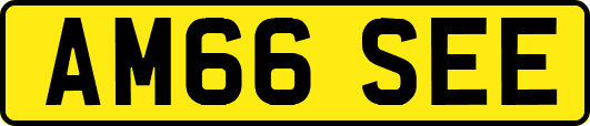 AM66SEE