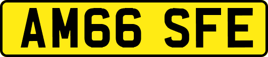 AM66SFE