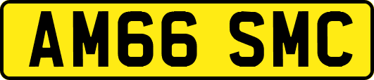 AM66SMC