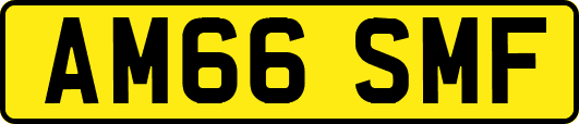 AM66SMF