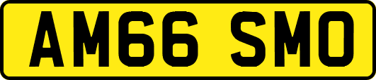 AM66SMO
