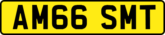 AM66SMT