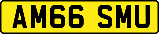 AM66SMU