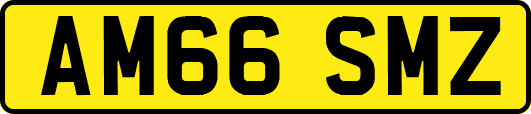 AM66SMZ