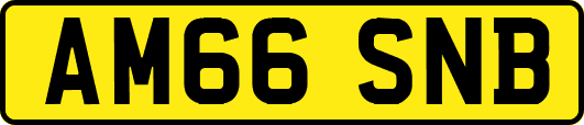 AM66SNB