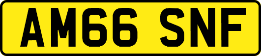AM66SNF