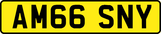 AM66SNY