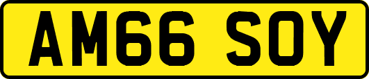 AM66SOY