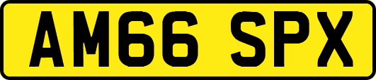 AM66SPX