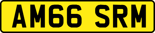 AM66SRM