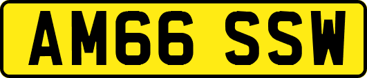 AM66SSW