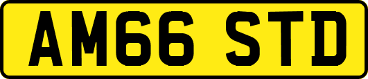 AM66STD