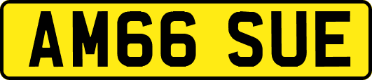 AM66SUE