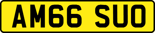 AM66SUO