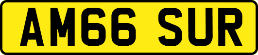 AM66SUR