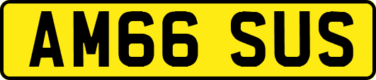 AM66SUS