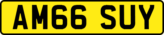 AM66SUY