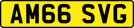 AM66SVG