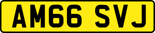 AM66SVJ